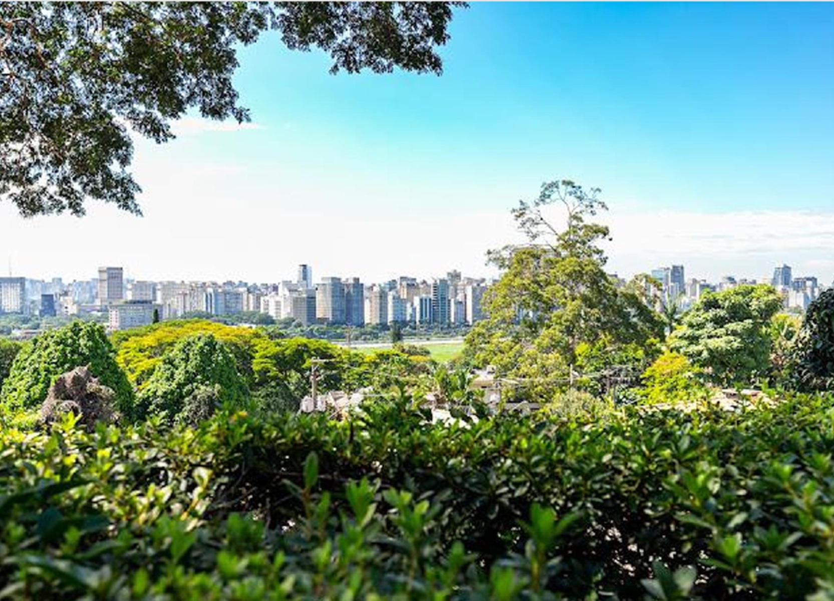 Imagem Casa de Vila com 3 Quartos à Venda, 250 m² em Jardim Guedala - São Paulo