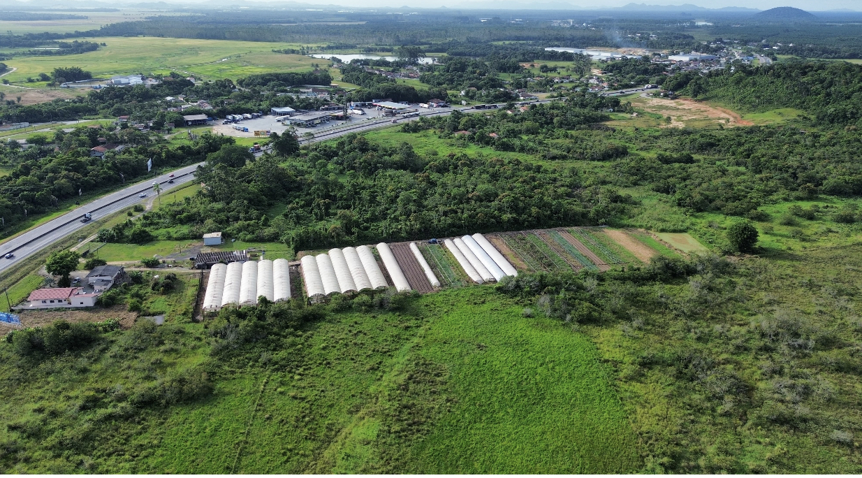 Imagem Terreno à Venda, 50.000 m² em Corveta - Araquari Imagem Terreno à Venda, 50.000 m² em Corveta - Araquari