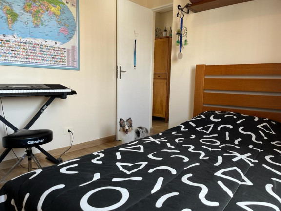Imagem Cobertura com 4 Quartos à Venda,  em Chácara Inglesa - São Paulo