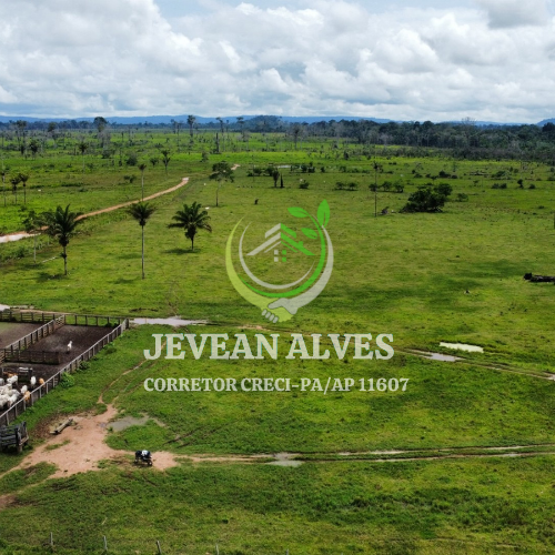 Imagem Fazenda à Venda, 4 m²em Centro  - São Félix do Xingu
