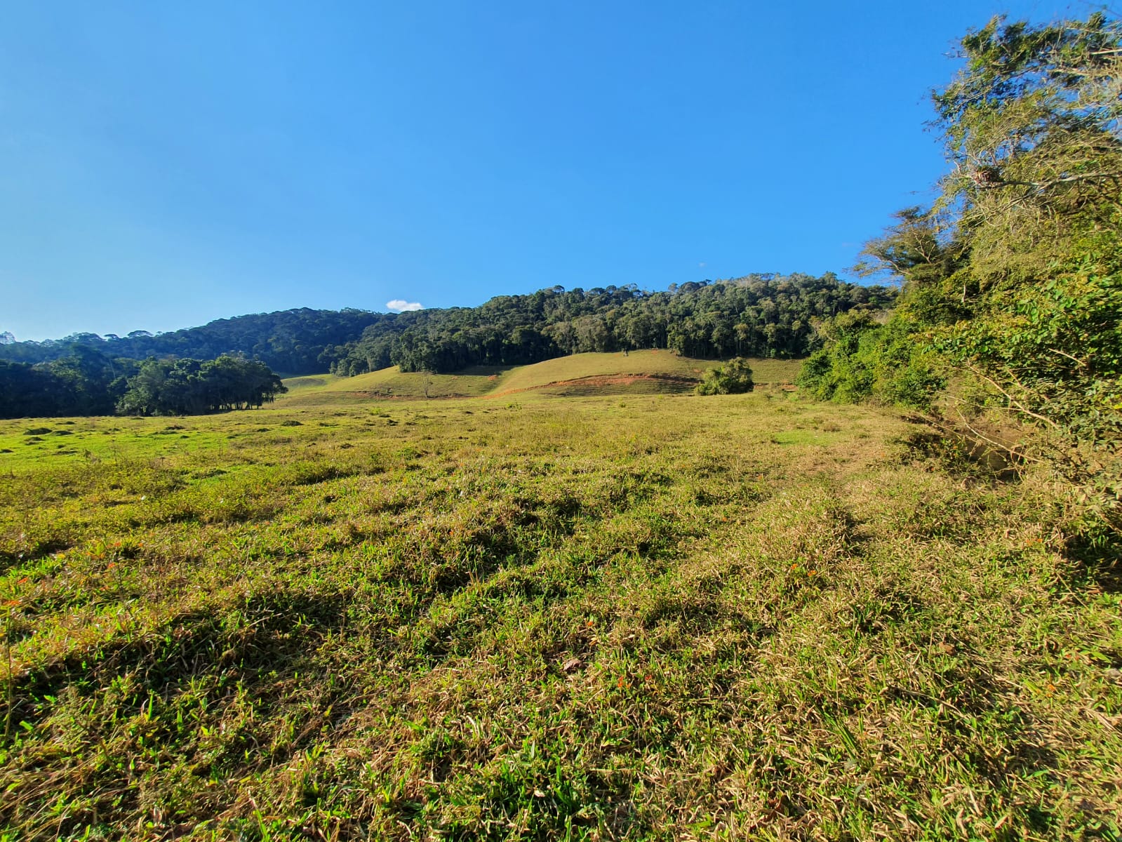 Imagem Terreno à Venda, 550 m²em Zona Rural  - Domingos Martins