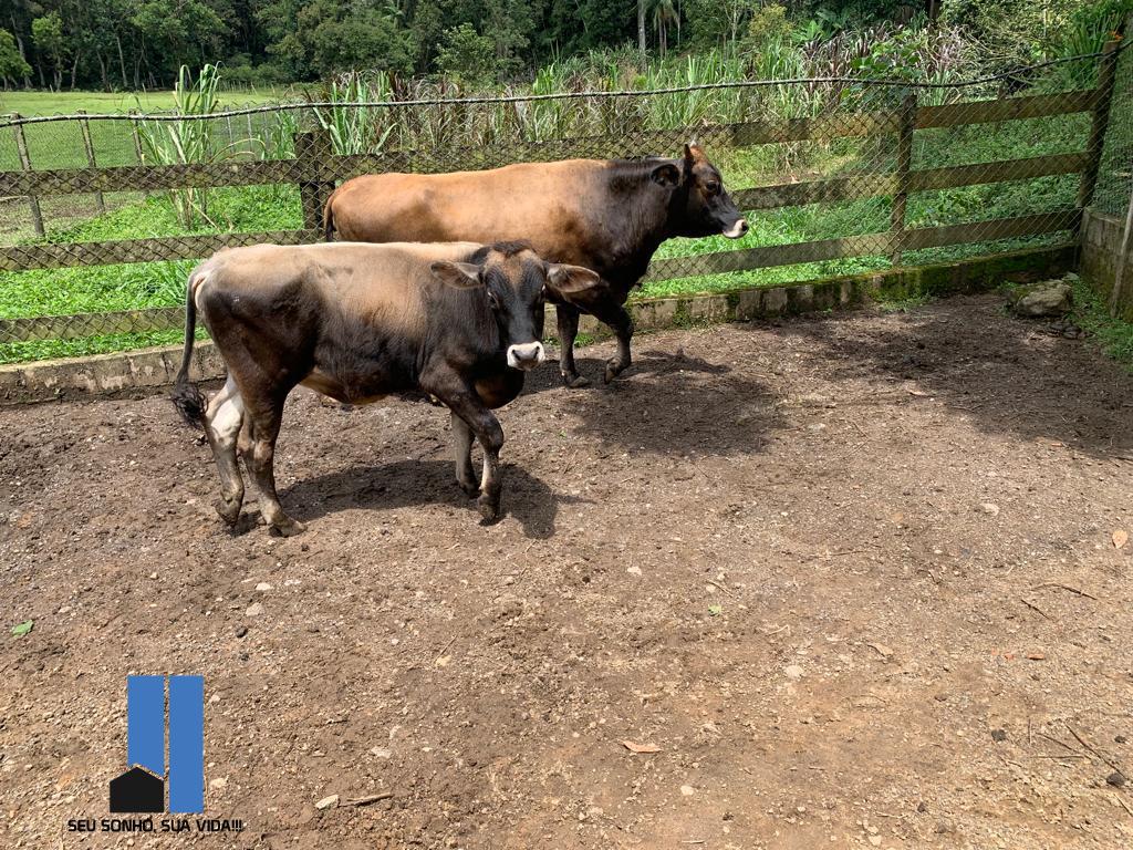 Imagem Terreno à Venda, 110 m²em Juquiazinho - Juquitiba