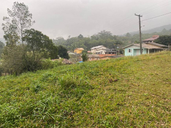 Imagem Terreno à Venda, 2.941 m² em São Simão - Criciúma Imagem Terreno à Venda, 2.941 m² em São Simão - Criciúma