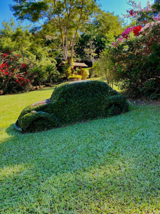 Imagem Chácara com 5 Quartos à Venda, 9.000 m² em Sebolas - Paraíba do Sul