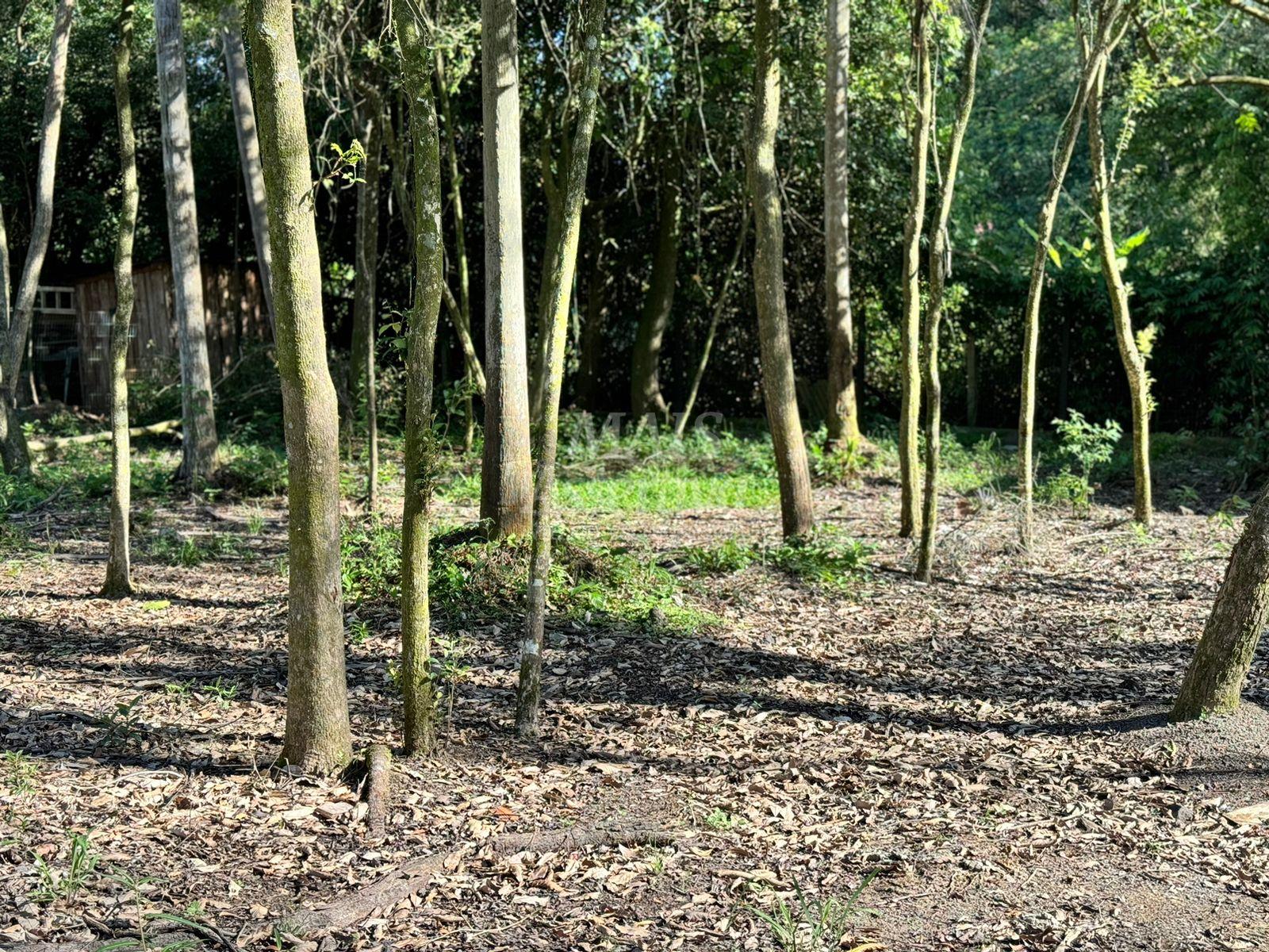 Imagem Terreno à Venda, 2 m²em Lomba Grande - Novo Hamburgo
