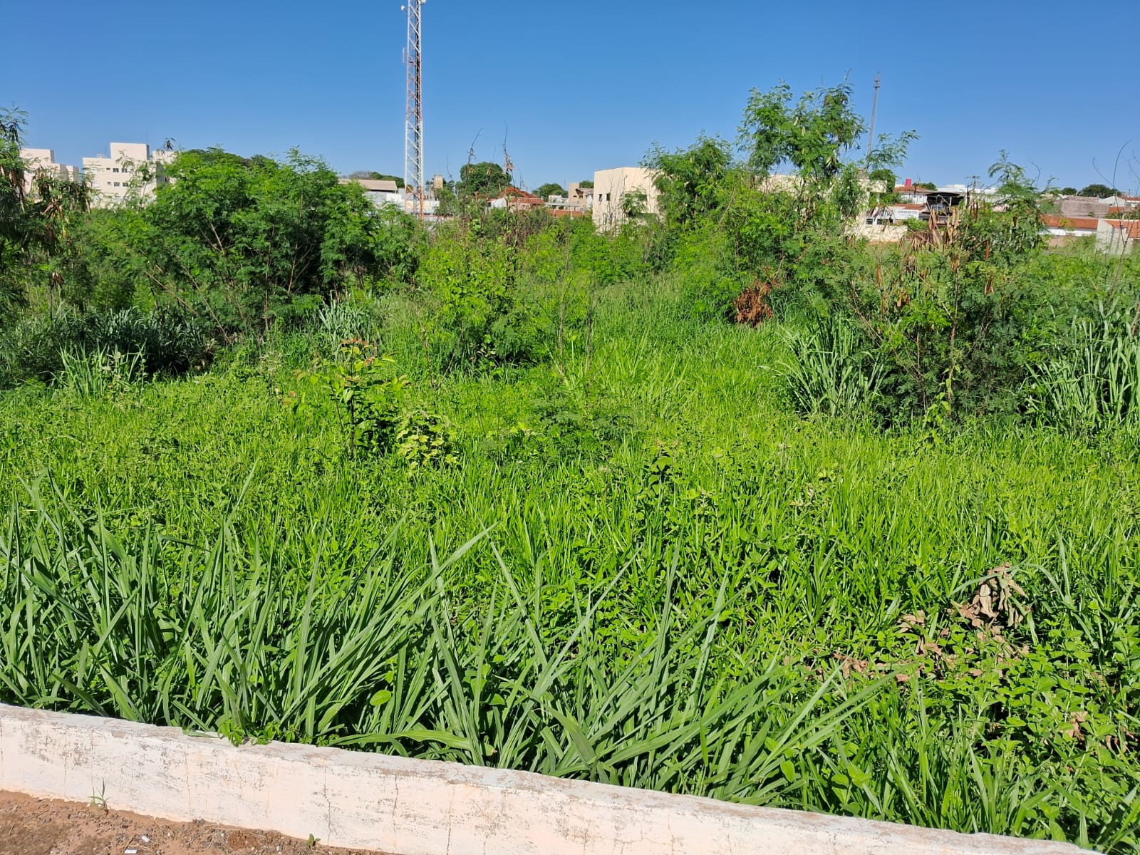 Imagem Terreno à Venda, 4.008 m² em Parque São Geraldo - Bauru Imagem Terreno à Venda, 4.008 m² em Parque São Geraldo - Bauru