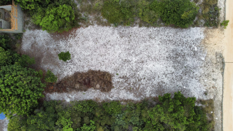 Imagem Terreno à Venda, 600 m² em Porto Sauípe - Entre Rios Imagem Terreno à Venda, 600 m² em Porto Sauípe - Entre Rios