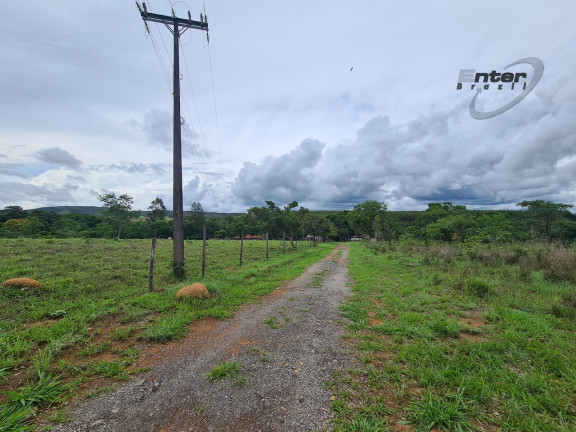 Imagem Fazenda à Venda, 24 HA em brazlandia - Brasília Imagem Fazenda à Venda, 24 HA em brazlandia - Brasília