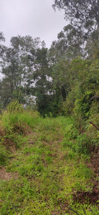 Imagem Terreno à Venda, em Santaninha - Pedras Grandes Imagem Terreno à Venda, em Santaninha - Pedras Grandes