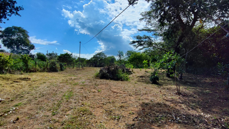 Imagem Chácara com 2 Quartos à Venda, 3.023 m² em Chacara das Mansões - Rochedo
