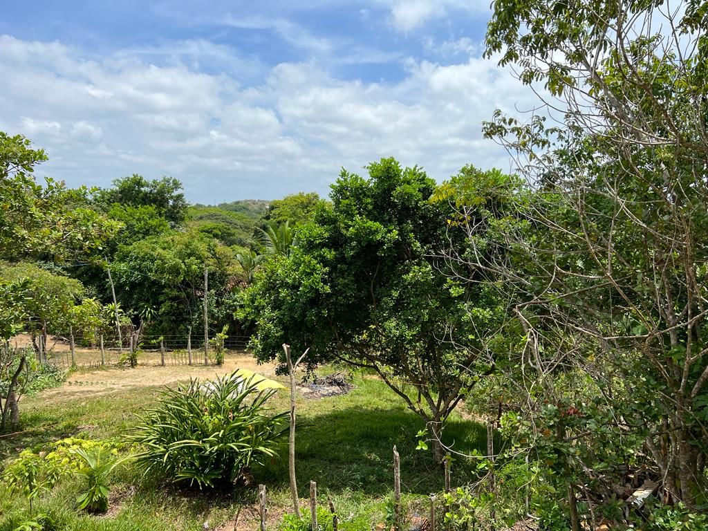 Imagem Terreno à Venda, 310 m²em Velha Boipeba - Cairu Imagem Terreno à Venda, 310 m²em Velha Boipeba - Cairu