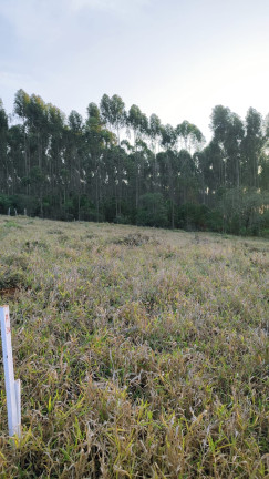 Imagem Terreno em Condomínio à Venda, 1.000 m² em Paruru - Ibiúna Imagem Terreno em Condomínio à Venda, 1.000 m² em Paruru - Ibiúna