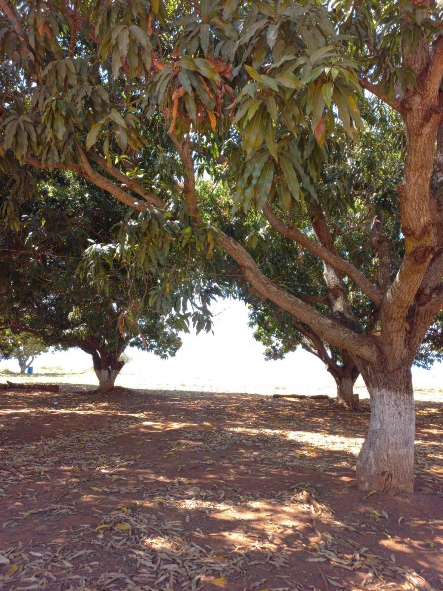Imagem Terreno à Venda, 448 m²em Zona Rural - Felixlândia Imagem Terreno à Venda, 448 m²em Zona Rural - Felixlândia