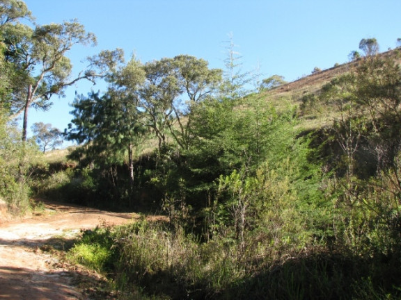 Imagem Terreno à Venda, 1.380 m² em Descansopolis - Campos do Jordão Imagem Terreno à Venda, 1.380 m² em Descansopolis - Campos do Jordão