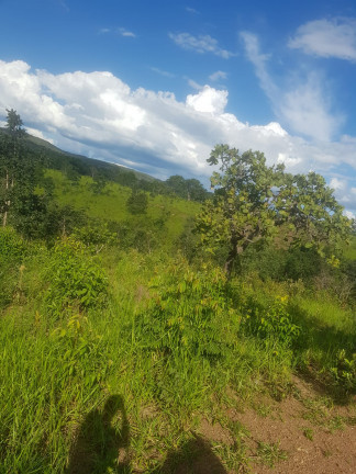 Imagem Fazenda à Venda, em Área Rural - Padre Bernardo Imagem Fazenda à Venda, em Área Rural - Padre Bernardo