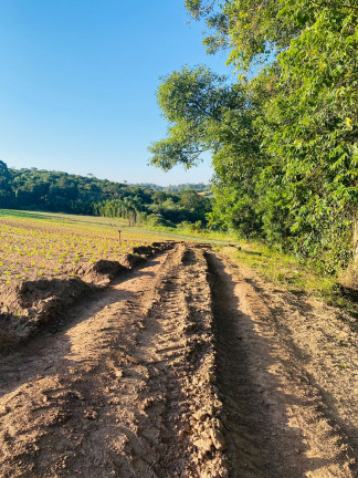 Imagem Chácara à Venda, 1.000 m² em Votora Curral Paruru - Ibiúna Imagem Chácara à Venda, 1.000 m² em Votora Curral Paruru - Ibiúna