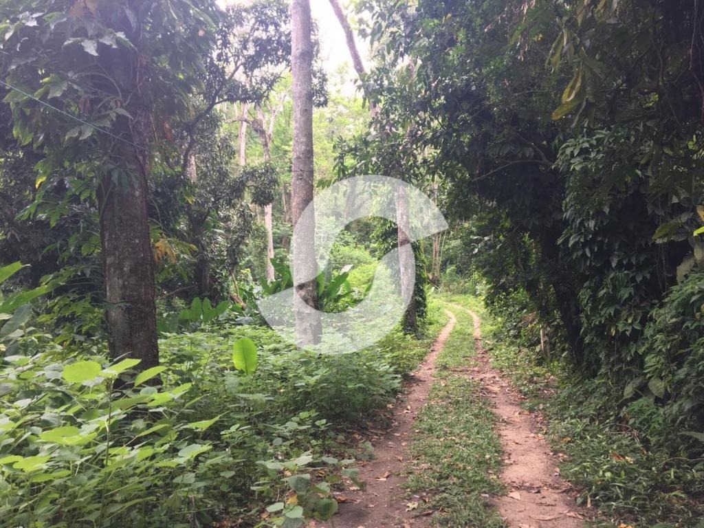 Terreno à Venda, 16.000 m² em Maria Paula - Niterói