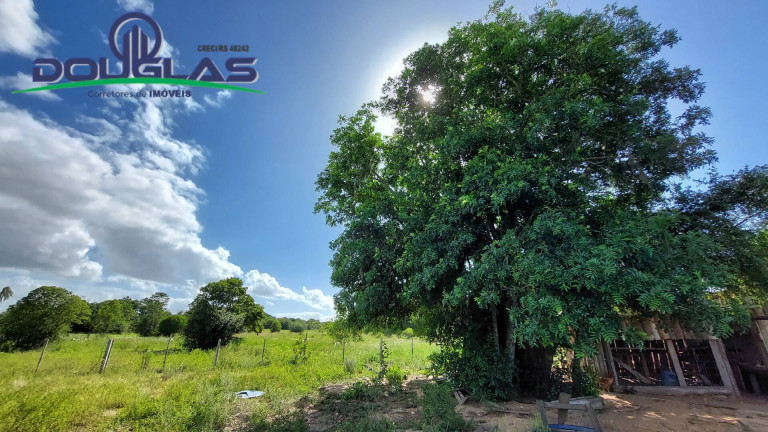 Imagem Chácara com 2 Quartos à Venda, 80 m² em Águas Claras - Viamão