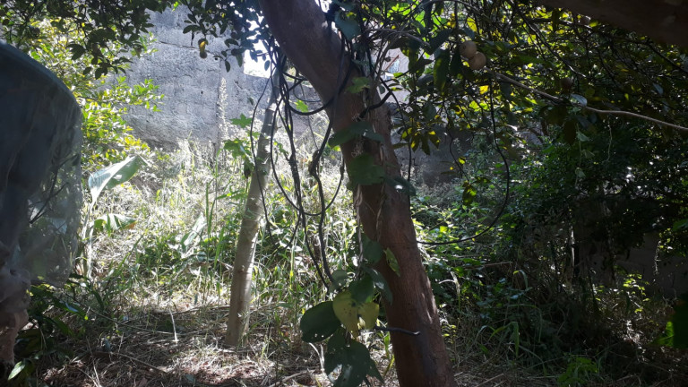 Imagem Sobrado com 7 Quartos à Venda, 403 m² em Jardim Cristino - Jandira