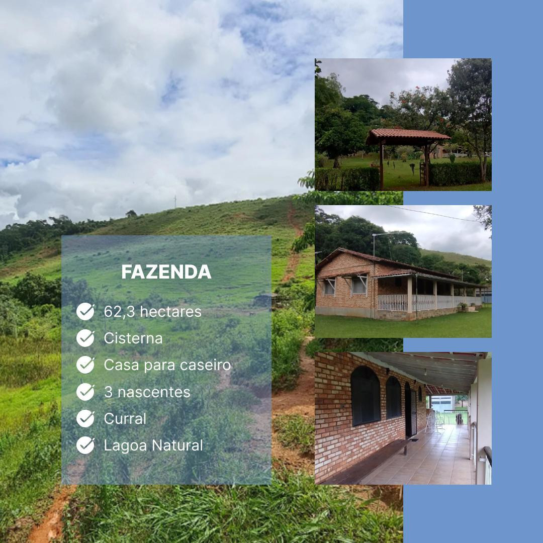 Chácara com 3 Quartos à Venda, 62.000 m² em Centro - Rio Casca