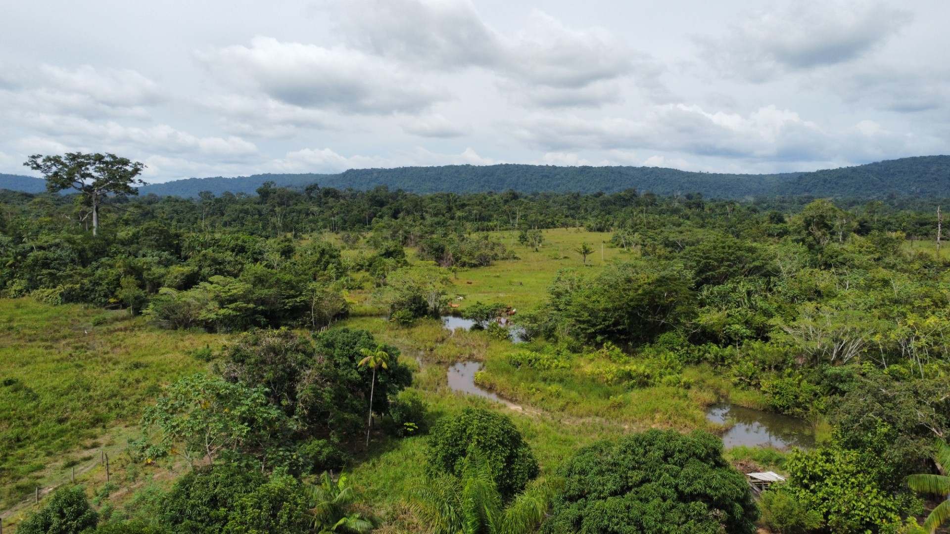 Imagem Fazenda à Venda, 900 Alq MGem Centro - São Félix do Xingu Imagem Fazenda à Venda, 900 Alq MGem Centro - São Félix do Xingu