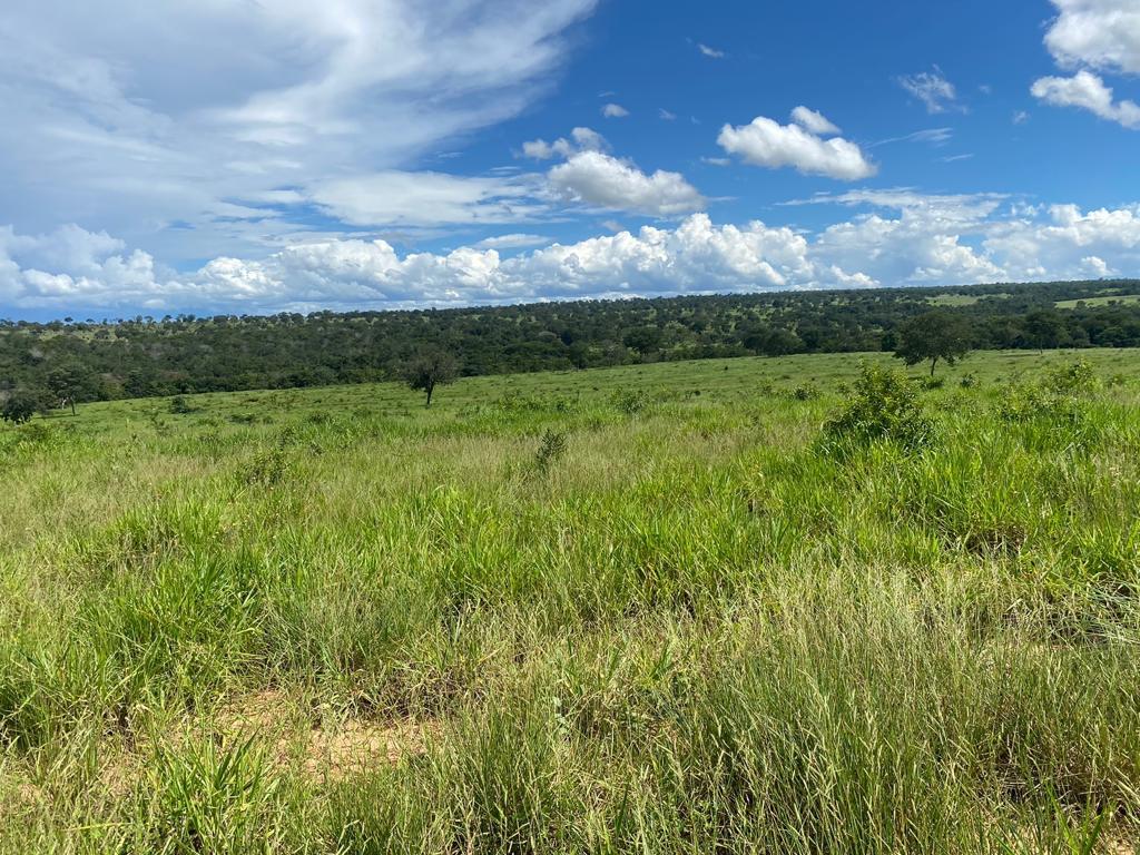Imagem Fazenda à Venda, 100 Alq GOem ZONA RURAL - Pontal do Araguaia Imagem Fazenda à Venda, 100 Alq GOem ZONA RURAL - Pontal do Araguaia