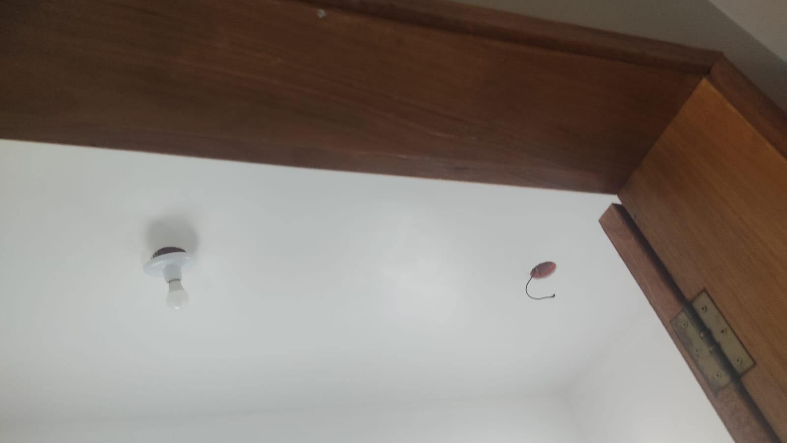 Imagem Casa com 2 Quartos à Venda, 102 m²em Corumbá (Terra Preta) - Mairiporã