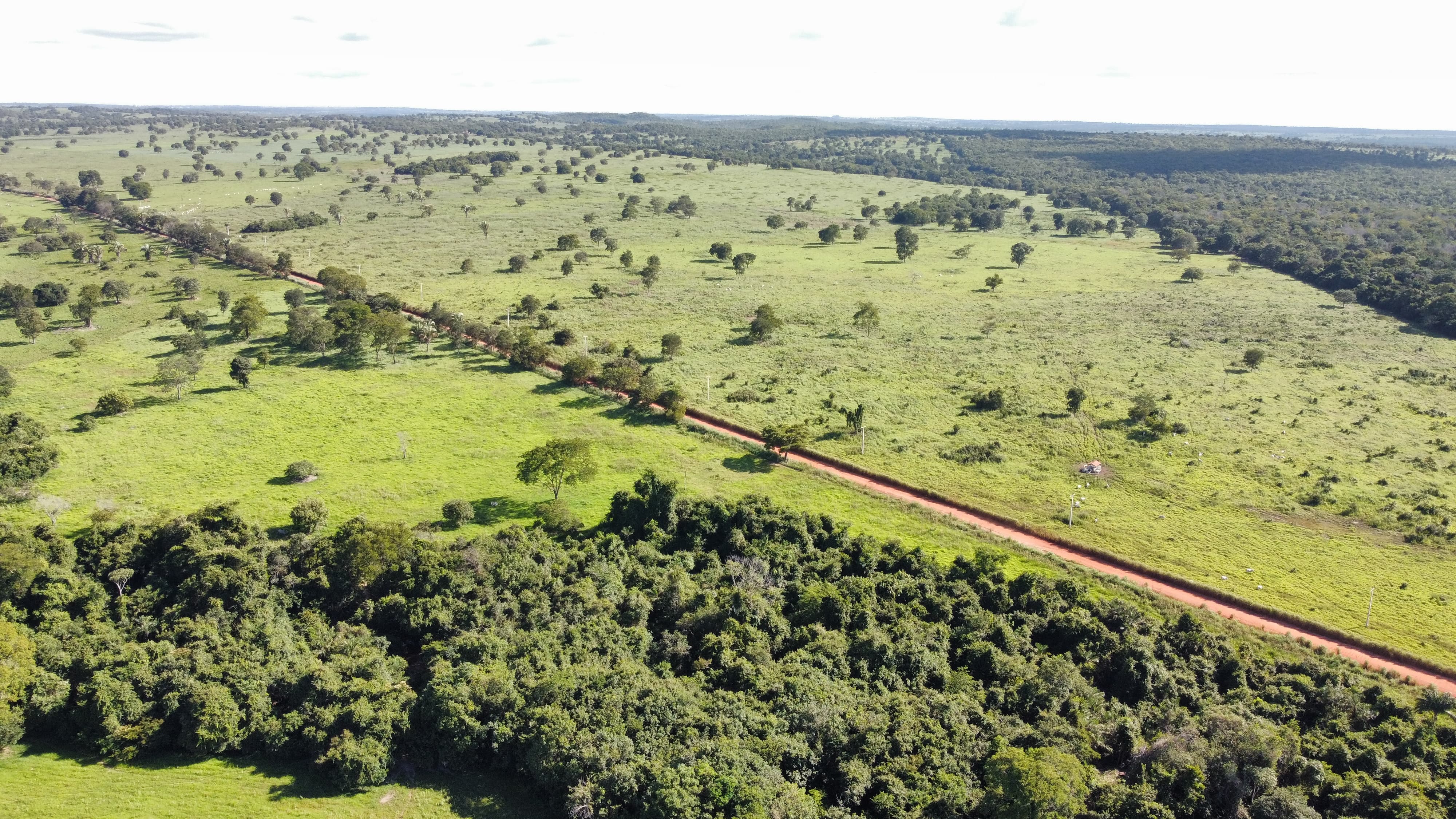 Imagem Fazenda à Venda, 240 Alq. GO em ZONA RURAL - Uirapuru