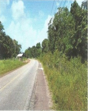 Imagem Fazenda à Venda, 66.246 m² em Zona Rural - Vigia Imagem Fazenda à Venda, 66.246 m² em Zona Rural - Vigia