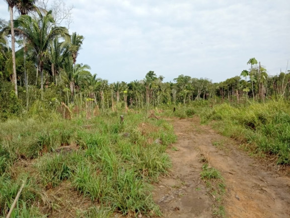 Imagem Terreno à Venda, 2.000 m² em Zona Rural - Humaitá Imagem Terreno à Venda, 2.000 m² em Zona Rural - Humaitá