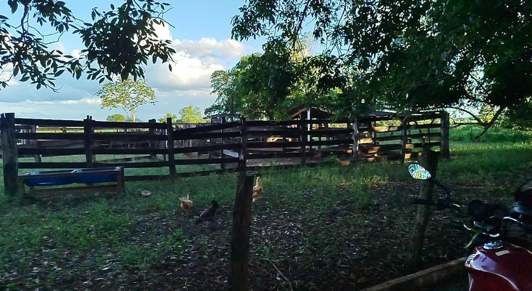 Imagem Chácara com 2 Quartos à Venda, 75.000 m² em CENTRO - Douradina