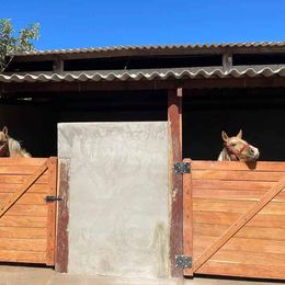 Imagem Fazenda à Venda, 8 HAem ZONA RURAL - Cocalinho Imagem Fazenda à Venda, 8 HAem ZONA RURAL - Cocalinho