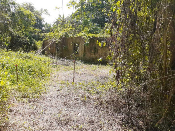 Imagem Terreno à Venda, em Marituba - Ananindeua Imagem Terreno à Venda, em Marituba - Ananindeua