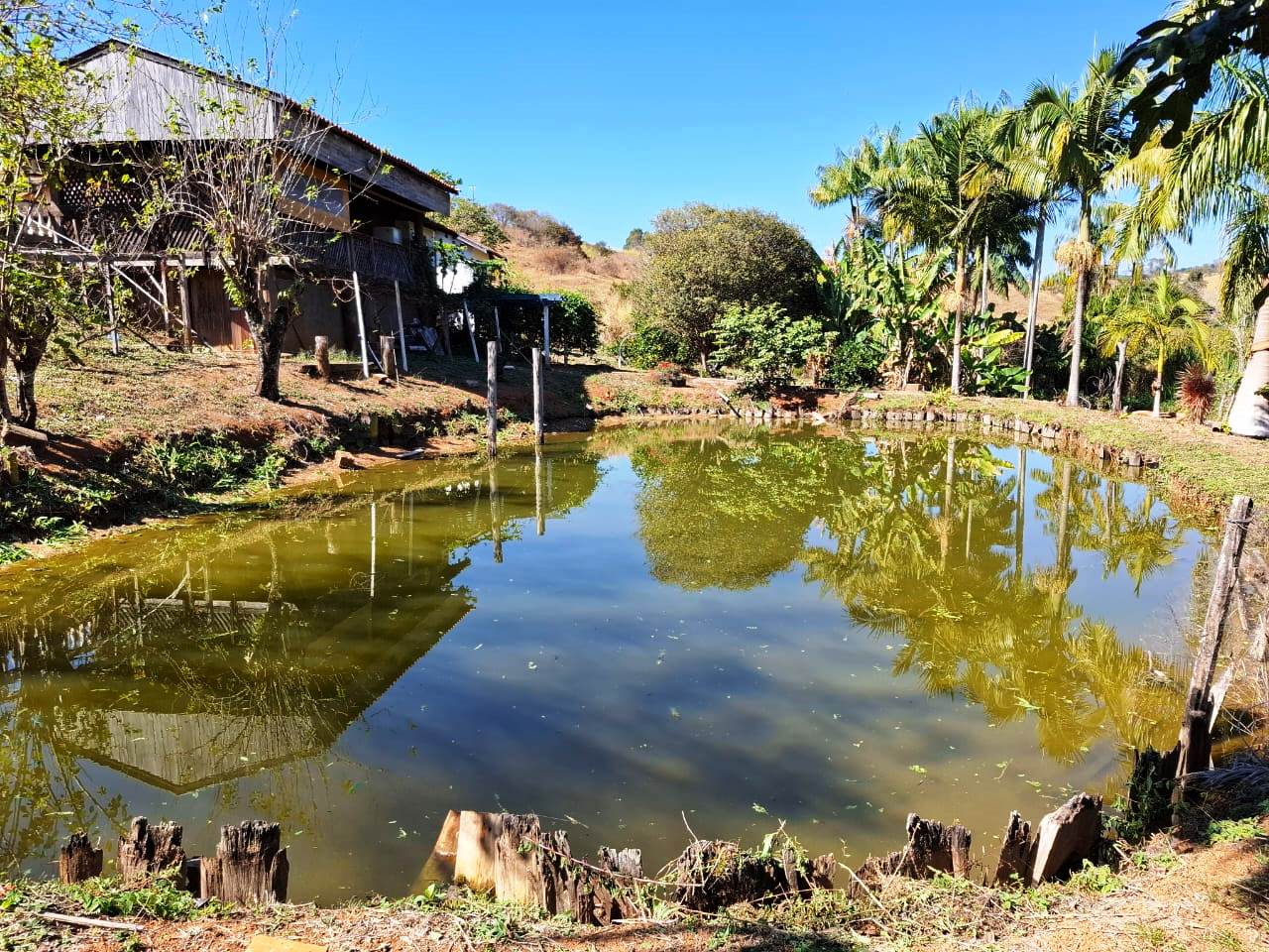 Imagem Fazenda à Venda, 1 m²em Rural - Caconde