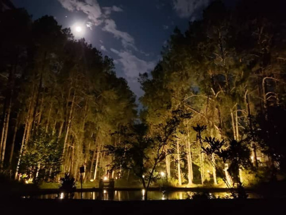 Imagem Chácara com 5 Quartos à Venda, 20.000 m² em Prado - Nova Friburgo Imagem Chácara com 5 Quartos à Venda, 20.000 m² em Prado - Nova Friburgo