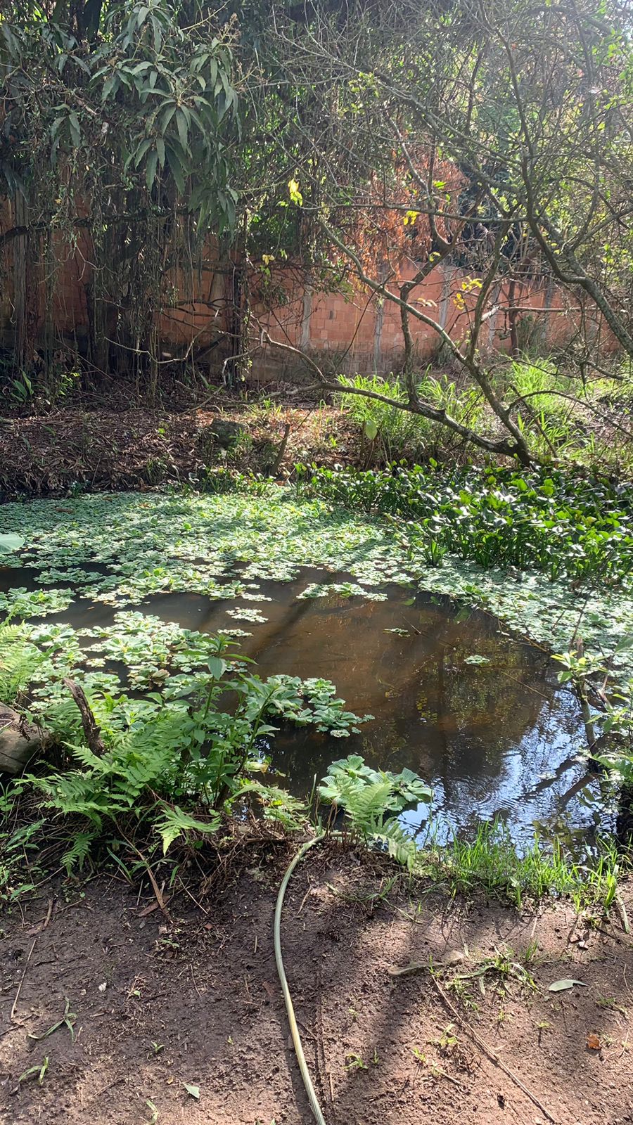 Imagem Terreno à Venda, 17.850 m² em Realengo - Rio de Janeiro Imagem Terreno à Venda, 17.850 m² em Realengo - Rio de Janeiro