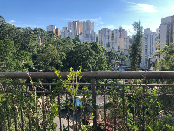 Imagem Apartamento com 4 Quartos à Venda, 195 m² em Vila Andrade - São Paulo Imagem Apartamento com 4 Quartos à Venda, 195 m² em Vila Andrade - São Paulo