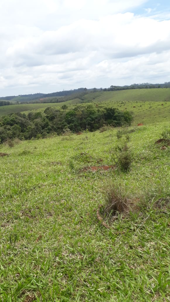 Imagem Fazenda à Venda, 414 HAem Centro - Barbacena Imagem Fazenda à Venda, 414 HAem Centro - Barbacena