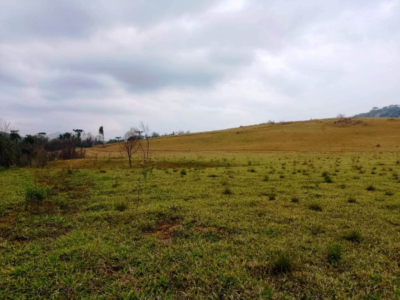 Imagem Fazenda à Venda, 135 Alq SP em Rural - Caconde