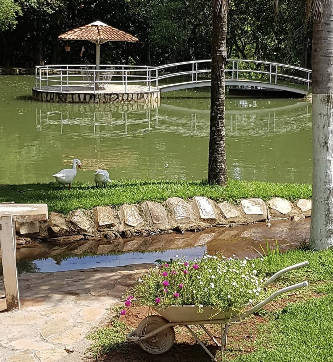 Imagem Chácara com 3 Quartos à Venda, 500 m² em Jardim Ana Lúcia - Goiânia Imagem Chácara com 3 Quartos à Venda, 500 m² em Jardim Ana Lúcia - Goiânia