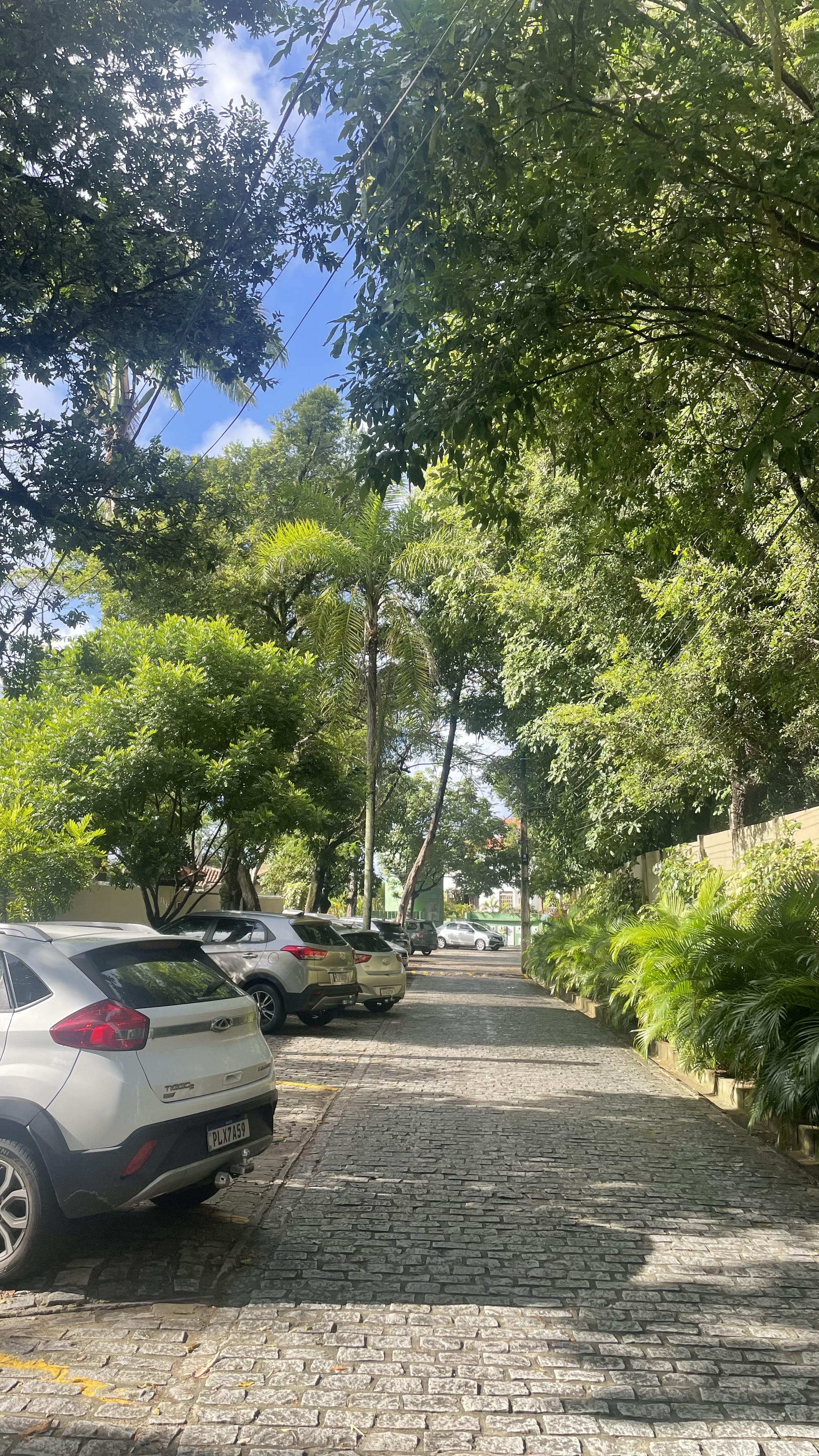Imagem Casa de Condomínio com 2 Quartos para Alugar, 70 m²em São Cristóvão - Salvador Imagem Casa de Condomínio com 2 Quartos para Alugar, 70 m²em São Cristóvão - Salvador