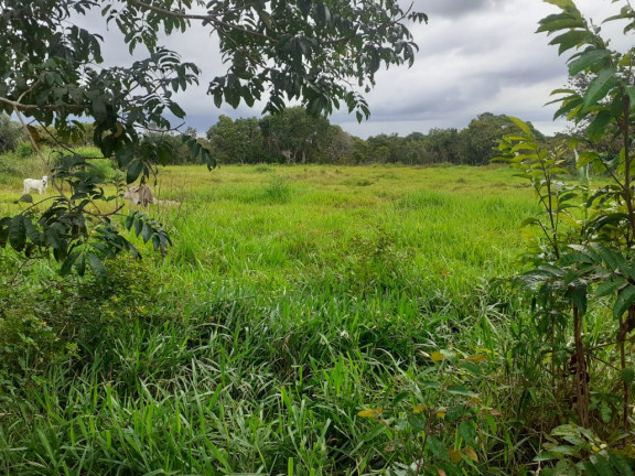 Imagem Fazenda à Venda,  em zona rural - Salvaterra