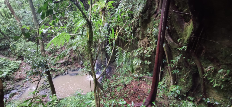 Imagem Terreno à Venda, em Santaninha - Pedras Grandes Imagem Terreno à Venda, em Santaninha - Pedras Grandes