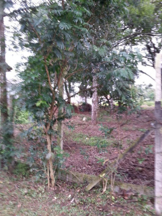 Imagem Terreno à Venda, 1.000 m² em Parque Rincão - Cotia Imagem Terreno à Venda, 1.000 m² em Parque Rincão - Cotia