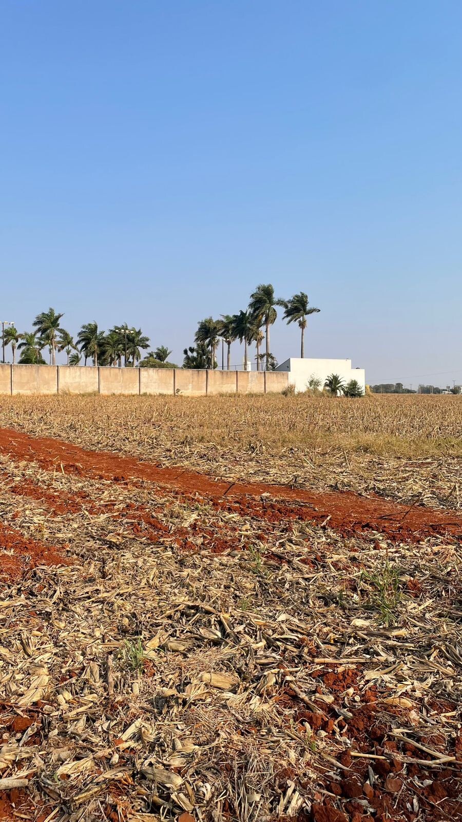 Imagem Terreno à Venda, 3 m²em Parque Industrial Mário Bulhões - Maringá Imagem Terreno à Venda, 3 m²em Parque Industrial Mário Bulhões - Maringá
