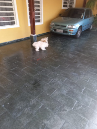 Imagem Sobrado com 3 Quartos à Venda, 160 m²em Jardim Santa Mena - Guarulhos