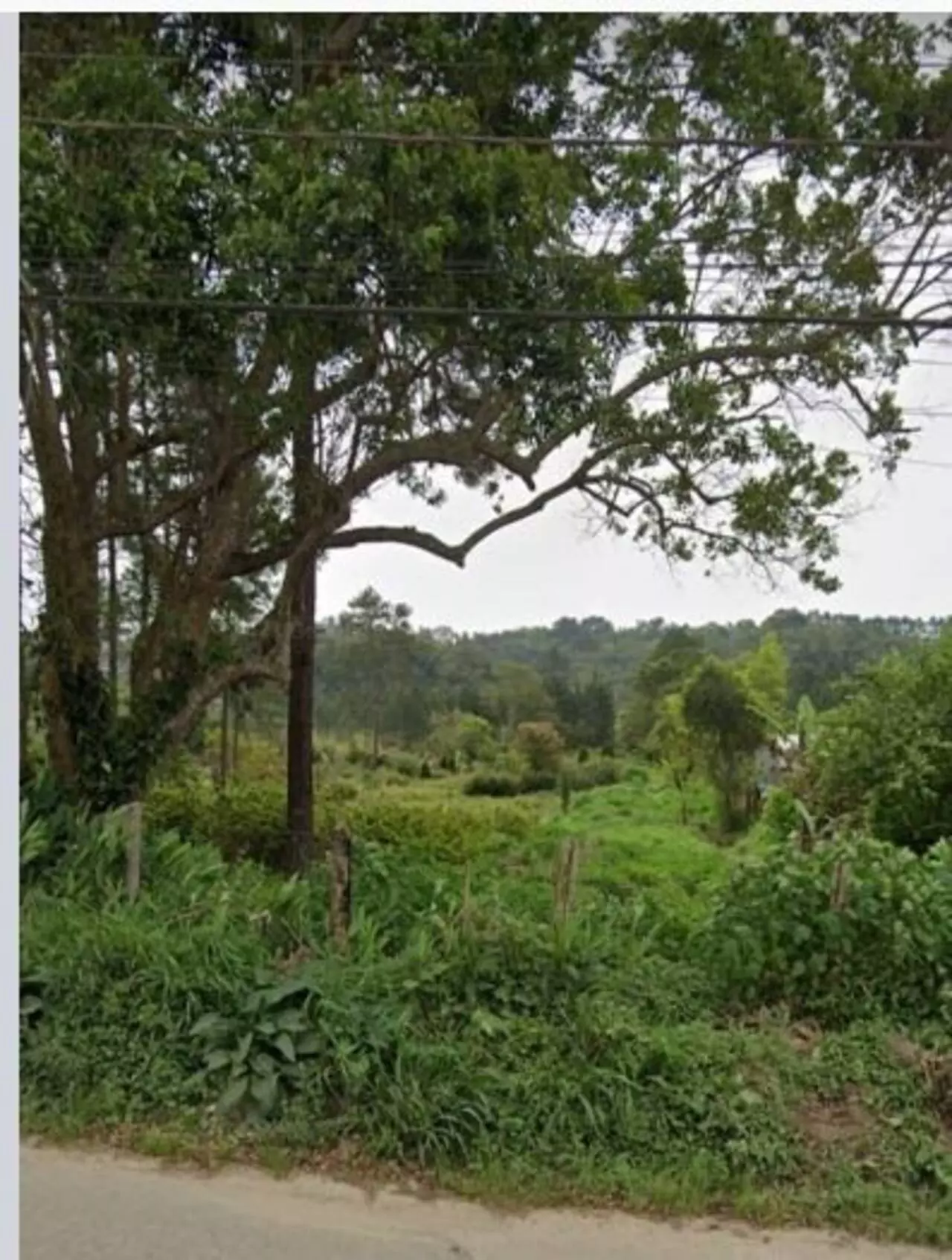 Imagem Terreno à Venda, 54 m²em Jardim Campestre - Embu-Guaçu Imagem Terreno à Venda, 54 m²em Jardim Campestre - Embu-Guaçu
