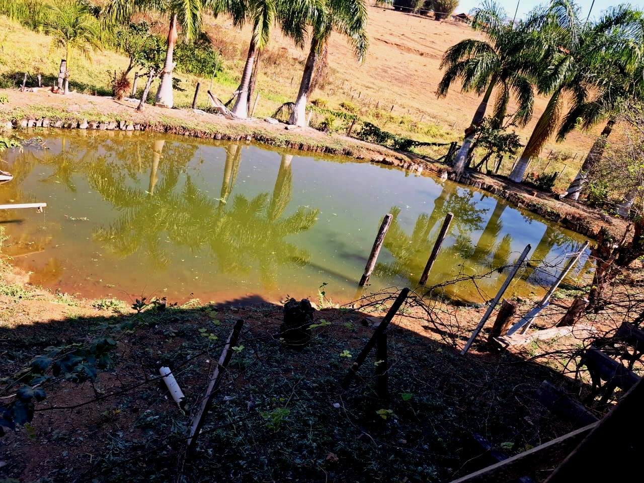 Imagem Fazenda à Venda, 36.200 m² em Centro - Caconde