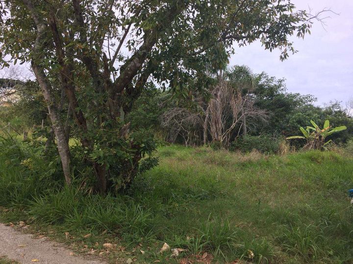 Imagem Terreno à Venda, 231 m² em Rio Vermelho - Florianópolis Imagem Terreno à Venda, 231 m² em Rio Vermelho - Florianópolis