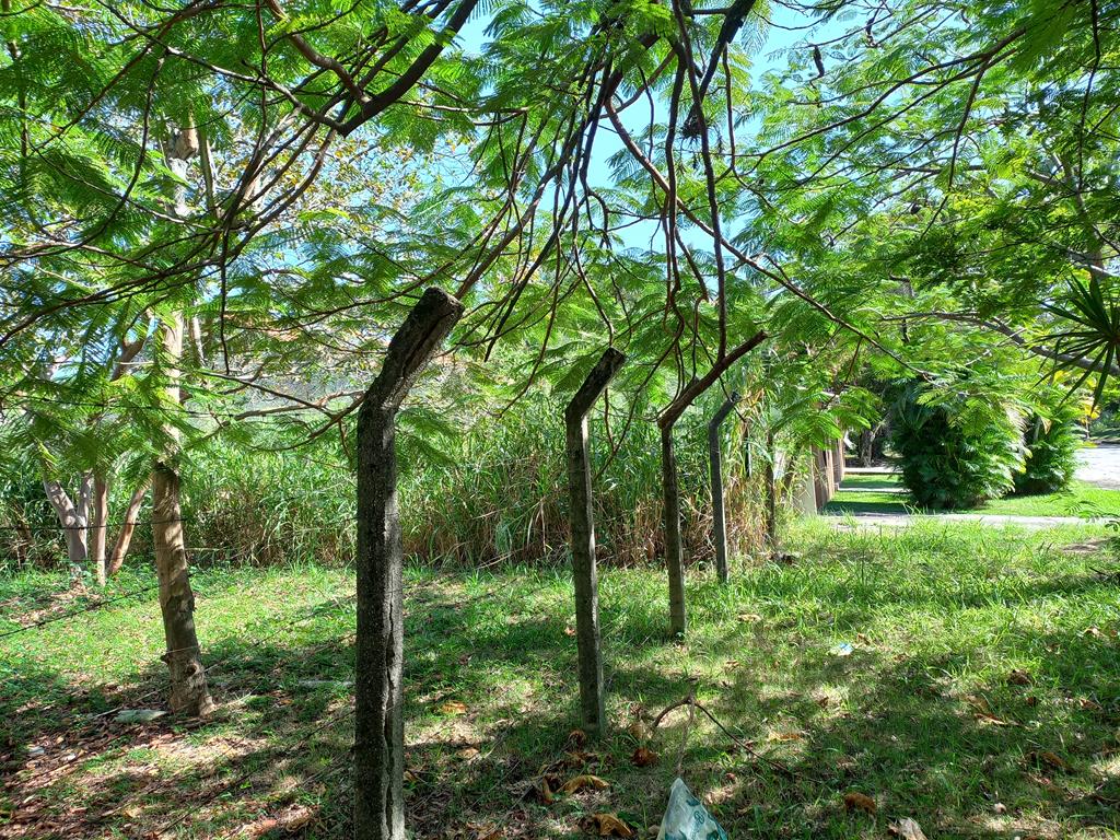 Imagem Terreno à Venda, 357 m²em Itaipu - Niterói Imagem Terreno à Venda, 357 m²em Itaipu - Niterói